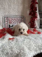 processed/b83e293a-6391-4659-82a7-6cb3d6c9205c/listing/feff1083-fb29-4501-8326-d3aa9f70ad5a/d560130a-9793-4243-8257-12c6b33a4247