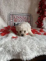 processed/b83e293a-6391-4659-82a7-6cb3d6c9205c/listing/feff1083-fb29-4501-8326-d3aa9f70ad5a/ffd0fb44-91d2-4ba0-b1ff-763cc1691314