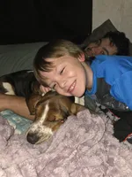 Hank, a male Basset Hound for sale in Grayson, KY – Photo 3 of 3