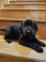 processed/b845520f-0836-4378-88e5-d0ad8098104c/listing/0ff73fee-b09c-48c8-a246-616c8ead3449/307b8a98-77fc-4592-867d-9a528575dfe9