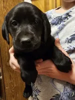 processed/b845520f-0836-4378-88e5-d0ad8098104c/listing/0ff73fee-b09c-48c8-a246-616c8ead3449/bf14ba80-f673-48fa-b4a9-eff62c7a6863