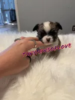 processed/b857af26-6a1f-4783-9851-7527343d636f/facility/2e52c884-af14-4578-a26d-47963fc8265a