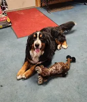 processed/b85fc85e-728d-4520-87ee-e703fc205e88/facility/0c5130ac-ff9e-4871-b76e-5ce7d652eb6f