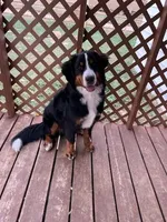 processed/b85fc85e-728d-4520-87ee-e703fc205e88/facility/162c7fcb-737c-4a20-82ff-bd5c870cb0d6