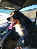 processed/b85fc85e-728d-4520-87ee-e703fc205e88/facility/20e6332f-8c61-4d43-8274-fcf57ca84a55