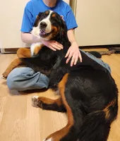 processed/b85fc85e-728d-4520-87ee-e703fc205e88/facility/3432a9d0-42e5-4611-b532-ad50b64891a0