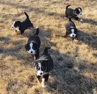 processed/b85fc85e-728d-4520-87ee-e703fc205e88/facility/72e9dccf-4c2b-4009-bf49-41b9ed4b1aff