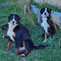 processed/b85fc85e-728d-4520-87ee-e703fc205e88/facility/e2f2dc57-aa17-415c-be87-8ebea2893734