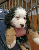 processed/b85fc85e-728d-4520-87ee-e703fc205e88/listing/3a8692ea-e299-43f3-ac5f-57a98eb25343/211bb1a7-cc01-477f-a725-deddb3e9776c