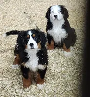 processed/b85fc85e-728d-4520-87ee-e703fc205e88/listing/3a8692ea-e299-43f3-ac5f-57a98eb25343/357ec112-3b44-4b33-8f0d-afda1837b602