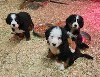 processed/b85fc85e-728d-4520-87ee-e703fc205e88/listing/3a8692ea-e299-43f3-ac5f-57a98eb25343/44f4a7dd-6e0f-4816-9973-4a3a7fcb5ff2