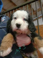 processed/b85fc85e-728d-4520-87ee-e703fc205e88/listing/3a8692ea-e299-43f3-ac5f-57a98eb25343/4844c1c1-9465-48a7-8878-46a8568f195b