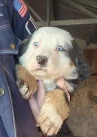 processed/b85fc85e-728d-4520-87ee-e703fc205e88/listing/3a8692ea-e299-43f3-ac5f-57a98eb25343/6ff7e335-89bc-491c-bfbc-9ef342711495