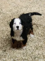 processed/b85fc85e-728d-4520-87ee-e703fc205e88/listing/3a8692ea-e299-43f3-ac5f-57a98eb25343/b4ffaf6a-ad84-4f88-a687-00c56783851c