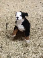 processed/b85fc85e-728d-4520-87ee-e703fc205e88/listing/3a8692ea-e299-43f3-ac5f-57a98eb25343/f9043fa4-6561-4ed8-9774-76d0fc04cdb1