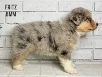 processed/b866d1b8-9619-4808-ad1a-63eb6335514e/listing/6be3aec3-3933-4491-b310-86fee5ba8f17/0fef74a8-a96e-42e2-b97d-24e644b098c8