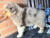 processed/b866d1b8-9619-4808-ad1a-63eb6335514e/listing/6be3aec3-3933-4491-b310-86fee5ba8f17/31c663b7-be11-408c-a8e6-3f91e9920193