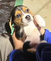 processed/b873b42c-b5eb-4c05-9299-239079ea5c33/listing/2484c505-2ac7-46c0-9e0e-657e6faae553/07ef7b79-6a5a-4354-9b02-705b6ebd7a36