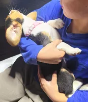 processed/b873b42c-b5eb-4c05-9299-239079ea5c33/listing/2484c505-2ac7-46c0-9e0e-657e6faae553/66398003-2b48-44e6-b80f-aa5b977962a4