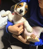 processed/b873b42c-b5eb-4c05-9299-239079ea5c33/listing/5edd0ebb-d8c6-4d1e-a8f4-72151ceb7516/0bac214c-6515-4acc-bc50-f2c8c078fac1