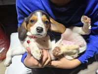 processed/b873b42c-b5eb-4c05-9299-239079ea5c33/listing/5edd0ebb-d8c6-4d1e-a8f4-72151ceb7516/3c35fca0-67d6-4365-8422-eb0a6a3d4487