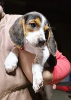 processed/b873b42c-b5eb-4c05-9299-239079ea5c33/listing/5edd0ebb-d8c6-4d1e-a8f4-72151ceb7516/c1a1f44e-b234-4748-bf0d-cf5b98a611bf