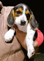 processed/b873b42c-b5eb-4c05-9299-239079ea5c33/listing/5edd0ebb-d8c6-4d1e-a8f4-72151ceb7516/e94d4a96-ef9f-4e7f-bf06-d37a2c7898d9