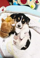 processed/b873b42c-b5eb-4c05-9299-239079ea5c33/listing/9f2877b5-0169-45c4-96d8-ca29472f1f52/cba13507-9efb-461a-abda-4249cc1c7950