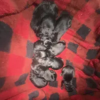 processed/b87624f0-1c7f-4ea5-aac5-5a65f4b04360/facility/67d5dd82-e455-42a4-9e1a-8440ffe23e50