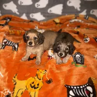 processed/b87624f0-1c7f-4ea5-aac5-5a65f4b04360/facility/69954e6e-3138-4264-8e34-45500a4e9555