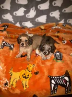 processed/b87624f0-1c7f-4ea5-aac5-5a65f4b04360/facility/69954e6e-3138-4264-8e34-45500a4e9555