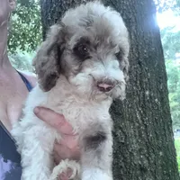 processed/b87624f0-1c7f-4ea5-aac5-5a65f4b04360/facility/82effd21-751b-440d-9f34-b18c42840150