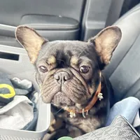 processed/b87624f0-1c7f-4ea5-aac5-5a65f4b04360/facility/b342350c-8c88-4051-a659-92f7cba7c503