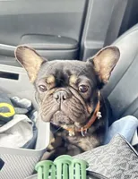 processed/b87624f0-1c7f-4ea5-aac5-5a65f4b04360/facility/b342350c-8c88-4051-a659-92f7cba7c503