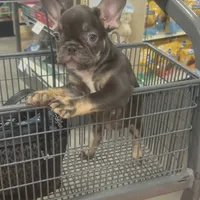 processed/b87624f0-1c7f-4ea5-aac5-5a65f4b04360/facility/c1ed1e20-38d7-4dce-9ea4-a9ccf56f703c