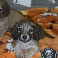 processed/b87624f0-1c7f-4ea5-aac5-5a65f4b04360/facility/cbf3d038-92a6-4450-a598-2d6c1accceb3