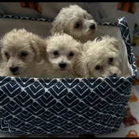 processed/b87624f0-1c7f-4ea5-aac5-5a65f4b04360/facility/eb86eb44-85b0-4868-8bf4-9a298d4b6541