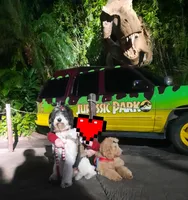 BRODY SDIT (Service Dog 🐕‍🦺), a male Goldendoodle for sale in Ocala, FL – Photo 5 of 9