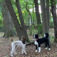 processed/b876e18b-f9b9-4538-877c-205613fbfe44/facility/02543e59-a91e-4ca6-802f-f160a377e269