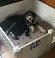 processed/b876e18b-f9b9-4538-877c-205613fbfe44/facility/26bf1228-4a57-4180-8d30-fdbdfa87df97