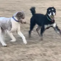 processed/b876e18b-f9b9-4538-877c-205613fbfe44/facility/27434278-aac5-4aae-b960-4d7775289583