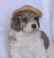 processed/b876e18b-f9b9-4538-877c-205613fbfe44/facility/34c162c8-0ada-4541-b987-24e47d85a867