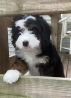 processed/b876e18b-f9b9-4538-877c-205613fbfe44/facility/62fc6326-8e62-4744-bb77-585882c0374e