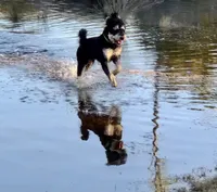 processed/b876e18b-f9b9-4538-877c-205613fbfe44/facility/d446ca9f-c059-498b-9ede-491fde80d800