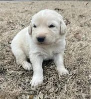 processed/b88294f3-1538-44f0-8121-67da5f318525/listing/1bfec99d-86ca-45d0-8e2e-ffd56e34ab85/503fb87d-9111-4ad0-bc2f-ad8c242dbb3e