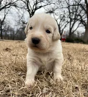 processed/b88294f3-1538-44f0-8121-67da5f318525/listing/41efba66-4da0-4807-8934-dad9b2f4406f/8bdcd36b-8070-42ca-980f-f8785b5e01a1