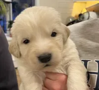 processed/b88294f3-1538-44f0-8121-67da5f318525/listing/41efba66-4da0-4807-8934-dad9b2f4406f/9b638319-49a0-46e7-b6d5-e6ef84ba1317