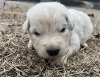 processed/b88294f3-1538-44f0-8121-67da5f318525/listing/57384b78-4914-4a36-a9a2-e65b2643e1da/9a707d0c-1af4-4a5f-8fd0-1947db3233e1