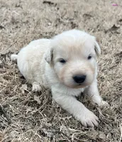 processed/b88294f3-1538-44f0-8121-67da5f318525/listing/5ef8a98a-3b7c-4a66-b0e9-e1b0af133aa0/0321eb9a-effa-4c4d-966f-408f2b7a1d17