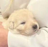 processed/b88294f3-1538-44f0-8121-67da5f318525/listing/5ef8a98a-3b7c-4a66-b0e9-e1b0af133aa0/40ac00f6-737c-456d-85f9-fc5469b20514